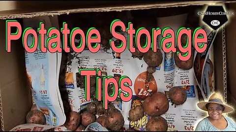 #tips for #potato #storage - #catshobbycorner