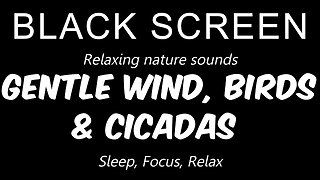 Gentle WIND, soothing BIRD SOUND and CICADAS | 10 Hours | Sleep, relax, focus