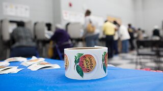 More Than 300,000 Inactive Voters Taken Off Georgia Rolls