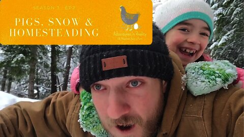 PIGS, SNOW & HOMESTEADING | Adventures In Reality