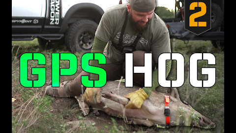 Texas Feral Hog Control with a GPS Tracker | PART 2