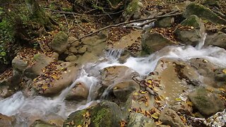 {ASMR} Stream Water Cascade Flow Waterfall - 1 Hour Ambience Sounds Sleep Relax Study (NO TALKING)