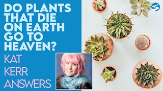 Kat Kerr: When Plants Die On Earth, Do They Go To Heaven? | July 28 2021
