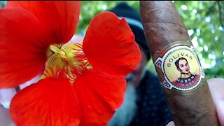 Chilling in Our Patio Garden with a Cuban Cigar, Bolivar Belicoso Fino: Open Discussion [ASMR]