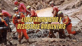 Libertarianismo E Desastres Ambientais