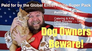 Cat Based Political Ad Scares Dog Owners!