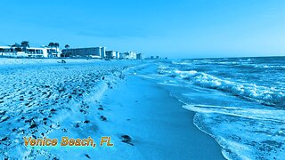 Venice Beach Florida and Tampa Bay fishing