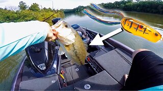 TESTING a NEW Bait -- (Spro Spitting Shad)