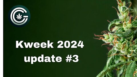 Kweek 2024 update #3