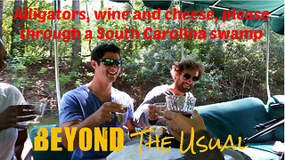Wine, cheese and alligator hunting through South Carolina swamp