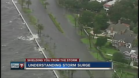 Shielding You From the Storm: Understanding storm surge