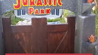 Owner Makes a Jurassic Park for His Tortoise