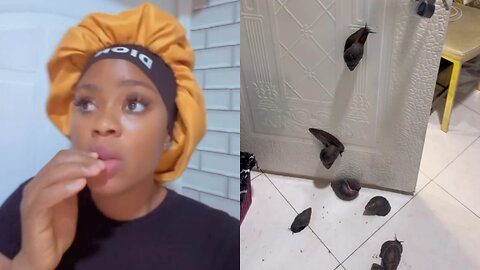 Lady Woke Up to Full of Snails in Her Kitchen
