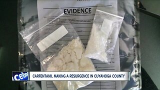 Medical examiner data shows resurgence in fatal carfentanil deaths in Cuyahoga County