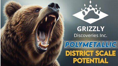 Grizzly Discoveries - Loaded with Precious and Base Metals