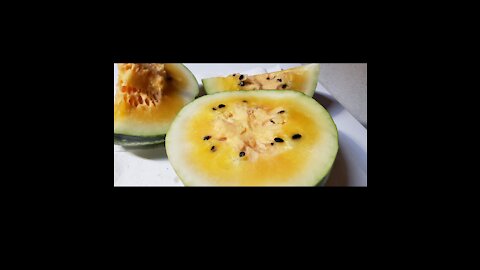 Yellow watermelons