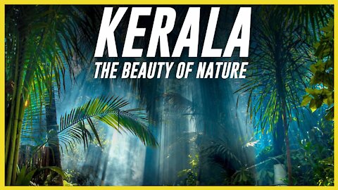 The Amazing Beauty Nature In Kerela || Epic View In Kerela | Kerela Backwaters In Drone Shots