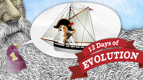 What Is Evolution, Anyway? - 12 Days of Evolution #1