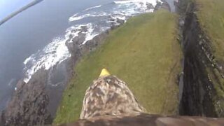 Fugleperspektiv av Skottlands dramatiske kystlandskap