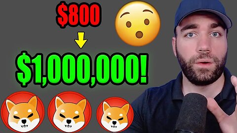 SHIBA INU - FROM $800 To $1,000,000! LIFE-CHANGING GAINS WERE MADE!