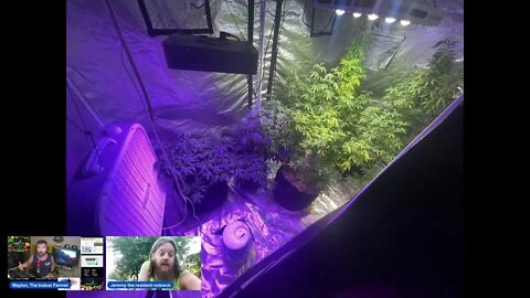 Waylon, The Indoor Farmer EP#39: Two Ways To use Smaller Spaces To Grow