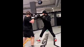 Khamzat Chimaev destroys another sparring partner