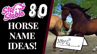 80+ STAR STABLE HORSE NAME IDEAS! 2021 Star Stable Quinn Ponylord