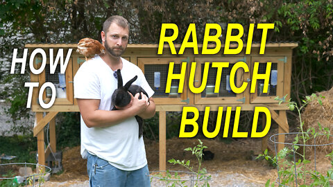 RABBIT HUTCH - PREDATOR PROOF - How To Build