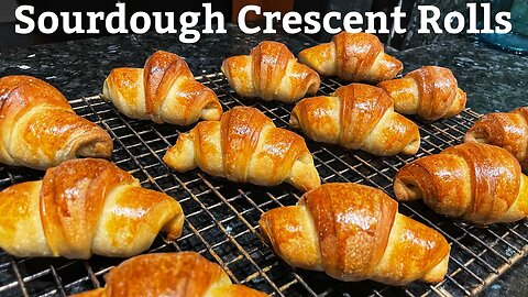 Sourdough Crescent Rolls - Start to Finish