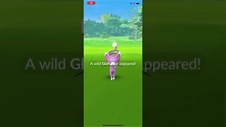 Shiny Compilation