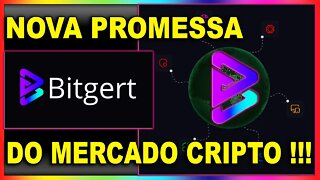BITGERT NOVA PROMESSA DO MERCADO CRIPTO !!!