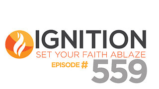 559: Do Catholics worship Mary?