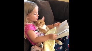 Reading The Cat a Bedtime Story