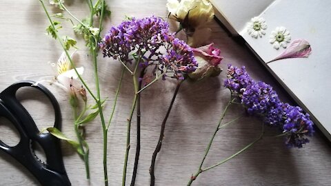 Drying a Wilted Bouquet // Episode 76