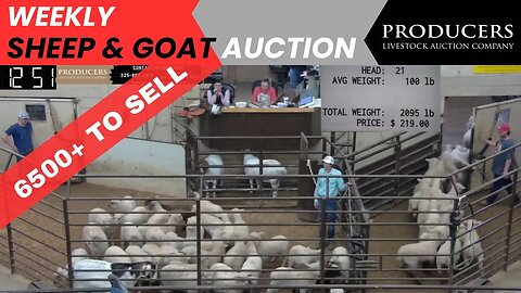 4/18/2023 - Producers Livestock Auction Company Sheep & Goat Auction