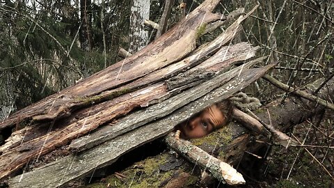 Rainy Forest Camping [NONSTOP RAIN] Waterproof Oak Shelter