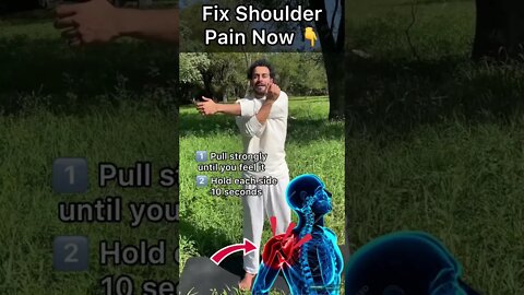 Fix Shoulder Pain Now (Beginner Exercise)