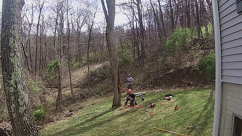 Cutting a JackHole in a rotting ash