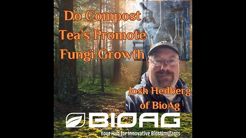 Do Compost Tea’s Promote Fungi Growth?