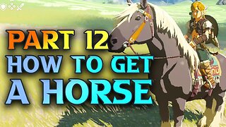Tears Of The Kingdom How To Catch A Horse - Walkthrough Part 12