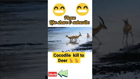 Cocodile killed to Deer 🦌🦌#shorts #youtubeshorts