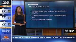 COVID Relief Package Impact on Tampa Bay Families