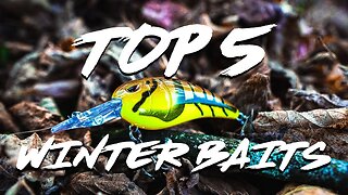 5 Baits to Conquer Winter Bass Fishing!