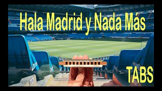 Harmonica TABS for Hala Madrid y nada más on a Diatonic Harmonica