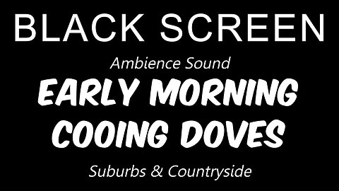 Early Moring Ambience | Cooing Doves | 1 Hour | Stay Asleep 🌅🎶🕊️