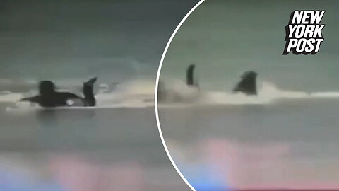 Video footage shows moment surfer was ravaged by shark before mangled leg washed up on shore