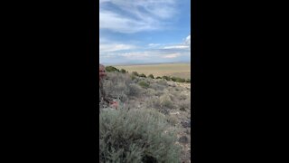 New Mexico Desert Elk Hunt