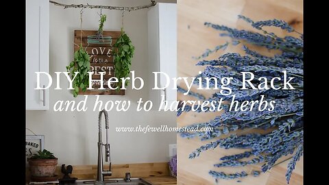 DIY Herb Drying Rack (and how to harvest herbs)