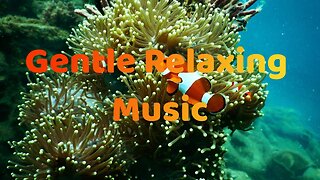 Aquarium for Relaxation, Relaxing Oceanscapes, Sleep Meditation music and fish #relaxing #meditation