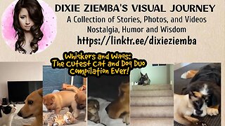 Whiskers and Wags: The Cutest Cat and Dog Duo Compilation Ever!